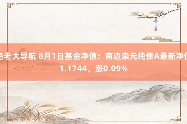 色老大导航 8月1日基金净值：南边崇元纯债A最新净值1.1744，涨0.09%