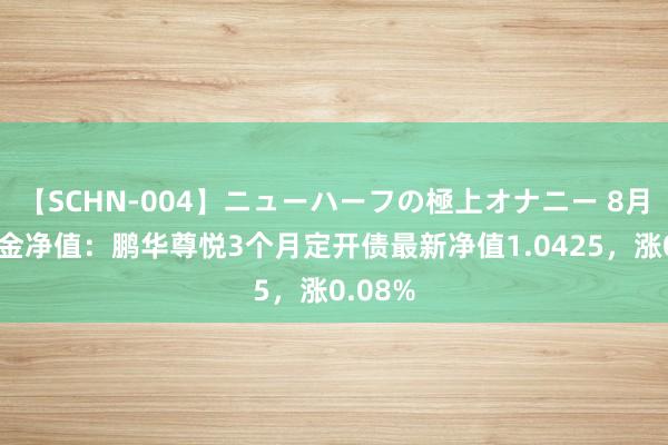 【SCHN-004】ニューハーフの極上オナニー 8月1日基金净值：鹏华尊悦3个月定开债最新净值1.0425，涨0.08%