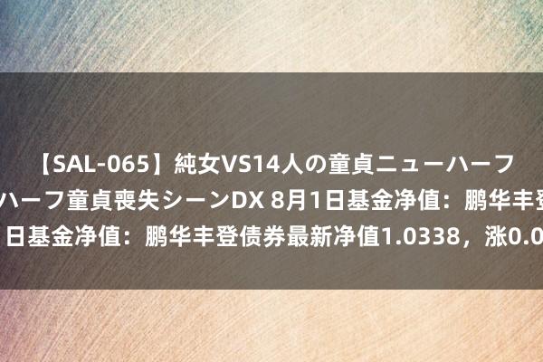 【SAL-065】純女VS14人の童貞ニューハーフ 二度と見れないニューハーフ童貞喪失シーンDX 8月1日基金净值：鹏华丰登债券最新净值1.0338，涨0.06%