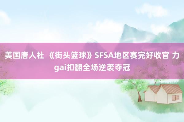 美国唐人社 《街头篮球》SFSA地区赛完好收官 力gai扣翻全场逆袭夺冠