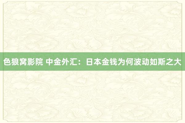 色狼窝影院 中金外汇：日本金钱为何波动如斯之大