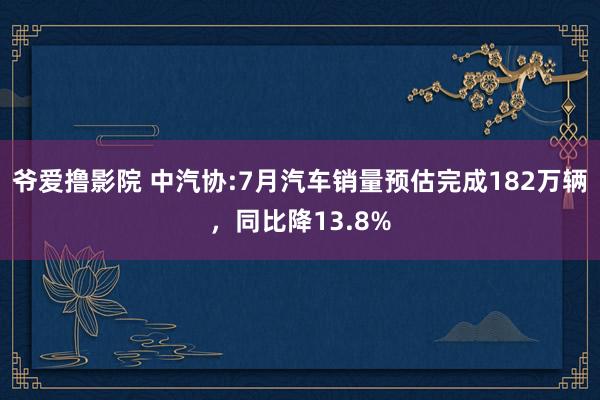 爷爱撸影院 中汽协:7月汽车销量预估完成182万辆，同比降13.8%