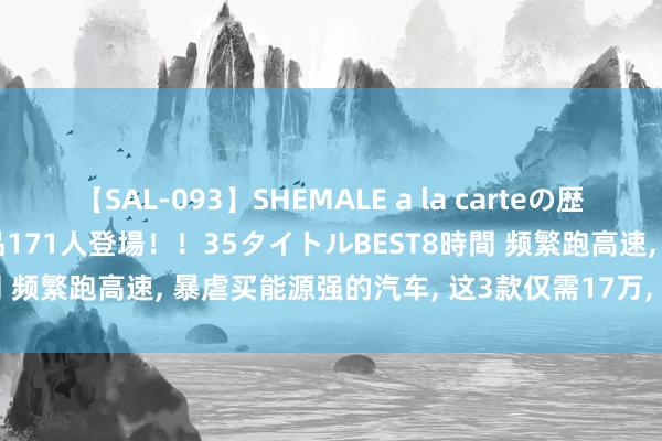 【SAL-093】SHEMALE a la carteの歴史 2008～2011 国内作品171人登場！！35タイトルBEST8時間 频繁跑高速， 暴虐买能源强的汽车， 这3款仅需17万， 操控好还省油