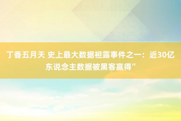 丁香五月天 史上最大数据袒露事件之一：近30亿东说念主数据被黑客赢得”