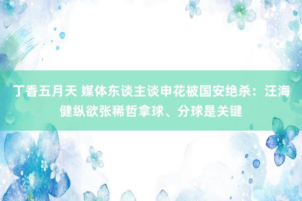 丁香五月天 媒体东谈主谈申花被国安绝杀：汪海健纵欲张稀哲拿球、分球是关键