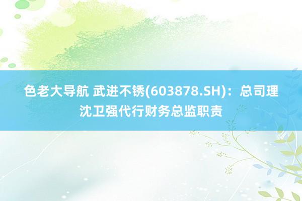 色老大导航 武进不锈(603878.SH)：总司理沈卫强代行财务总监职责