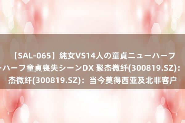 【SAL-065】純女VS14人の童貞ニューハーフ 二度と見れないニューハーフ童貞喪失シーンDX 聚杰微纤(300819.SZ)：当今莫得西亚及北非客户