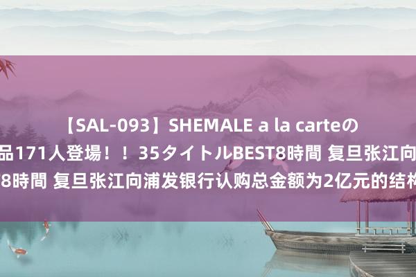 【SAL-093】SHEMALE a la carteの歴史 2008～2011 国内作品171人登場！！35タイトルBEST8時間 复旦张江向浦发银行认购总金额为2亿元的结构性入款居品