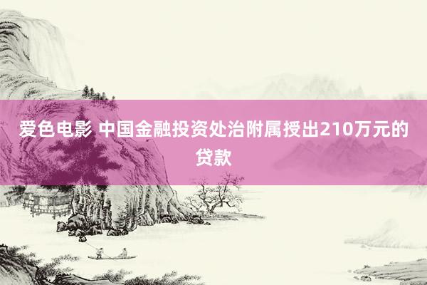 爱色电影 中国金融投资处治附属授出210万元的贷款