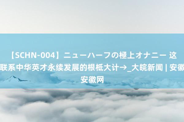 【SCHN-004】ニューハーフの極上オナニー 这是联系中华英才永续发展的根柢大计→_大皖新闻 | 安徽网