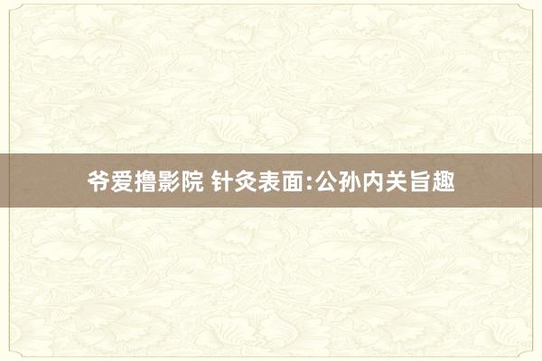 爷爱撸影院 针灸表面:公孙内关旨趣