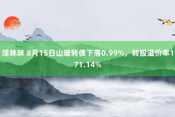 淫咪咪 8月15日山玻转债下落0.99%，转股溢价率171.14%