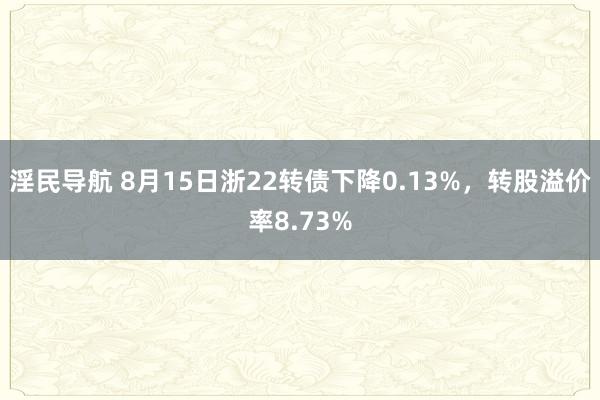 淫民导航 8月15日浙22转债下降0.13%，转股溢价率8.73%