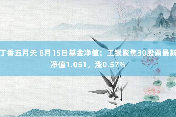 丁香五月天 8月15日基金净值：工银聚焦30股票最新净值1.051，涨0.57%