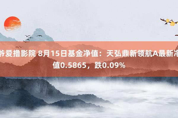 爷爱撸影院 8月15日基金净值：天弘鼎新领航A最新净值0.5865，跌0.09%