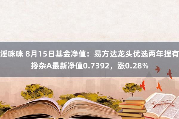 淫咪咪 8月15日基金净值：易方达龙头优选两年捏有搀杂A最新净值0.7392，涨0.28%