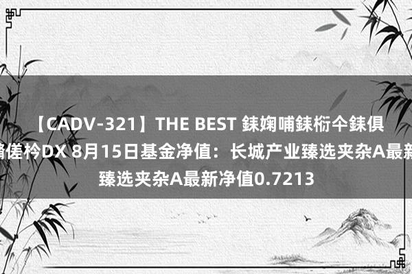 【CADV-321】THE BEST 銇婅哺銇椼仐銇俱仚銆?50浜?鏅傞枔DX 8月15日基金净值：长城产业臻选夹杂A最新净值0.7213