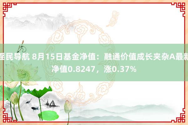 淫民导航 8月15日基金净值：融通价值成长夹杂A最新净值0.8247，涨0.37%