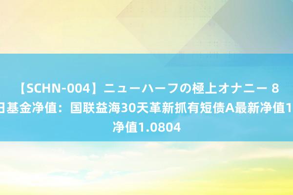 【SCHN-004】ニューハーフの極上オナニー 8月15日基金净值：国联益海30天革新抓有短债A最新净值1.0804