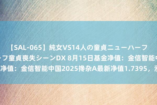 【SAL-065】純女VS14人の童貞ニューハーフ 二度と見れないニューハーフ童貞喪失シーンDX 8月15日基金净值：金信智能中国2025搀杂A最新净值1.7395，涨0.98%