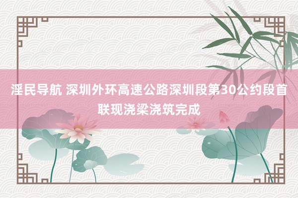 淫民导航 深圳外环高速公路深圳段第30公约段首联现浇梁浇筑完成