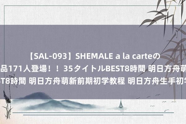 【SAL-093】SHEMALE a la carteの歴史 2008～2011 国内作品171人登場！！35タイトルBEST8時間 明日方舟萌新前期初学教程 明日方舟生手初学必备攻略