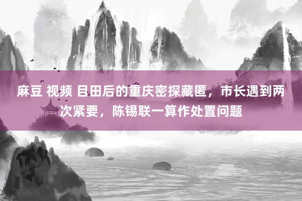 麻豆 视频 目田后的重庆密探藏匿，市长遇到两次紧要，陈锡联一算作处置问题