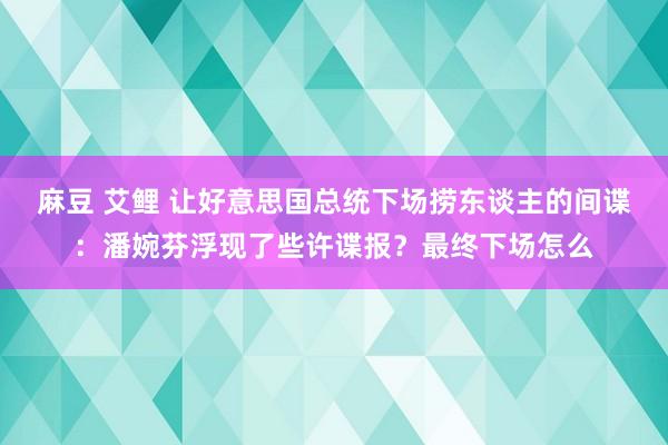 麻豆 艾鲤 让好意思国总统下场捞东谈主的间谍：潘婉芬浮现了些许谍报？最终下场怎么