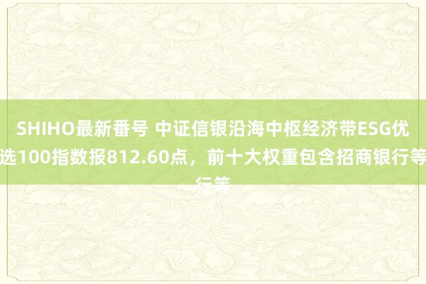 SHIHO最新番号 中证信银沿海中枢经济带ESG优选100指数报812.60点，前十大权重包含招商银行等