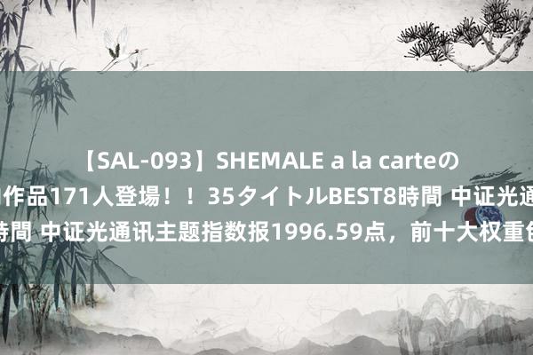 【SAL-093】SHEMALE a la carteの歴史 2008～2011 国内作品171人登場！！35タイトルBEST8時間 中证光通讯主题指数报1996.59点，前十大权重包含中际旭创等