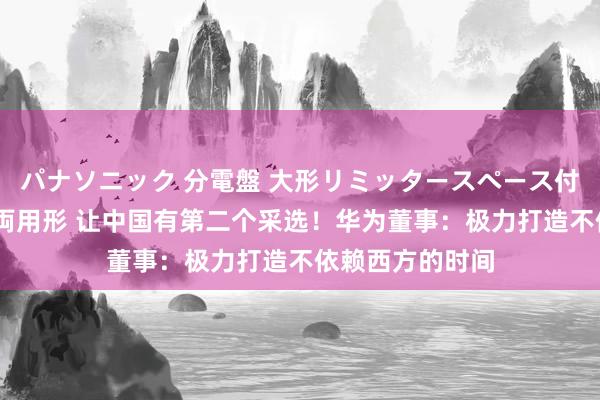 パナソニック 分電盤 大形リミッタースペース付 露出・半埋込両用形 让中国有第二个采选！华为董事：极力打造不依赖西方的时间