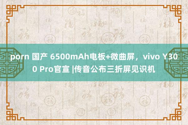 porn 国产 6500mAh电板+微曲屏，vivo Y300 Pro官宣 |传音公布三折屏见识机