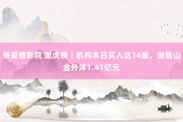 爷爱撸影院 龙虎榜丨机构本日买入这14股，抛售山金外洋1.41亿元