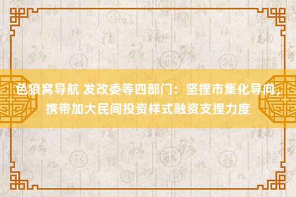 色狼窝导航 发改委等四部门：坚捏市集化导向，携带加大民间投资样式融资支捏力度