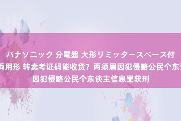 パナソニック 分電盤 大形リミッタースペース付 露出・半埋込両用形 转卖考证码能收货？两须眉因犯侵略公民个东谈主信息罪获刑