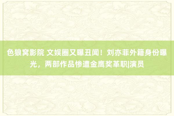 色狼窝影院 文娱圈又曝丑闻！刘亦菲外籍身份曝光，两部作品惨遭金鹰奖革职|演员